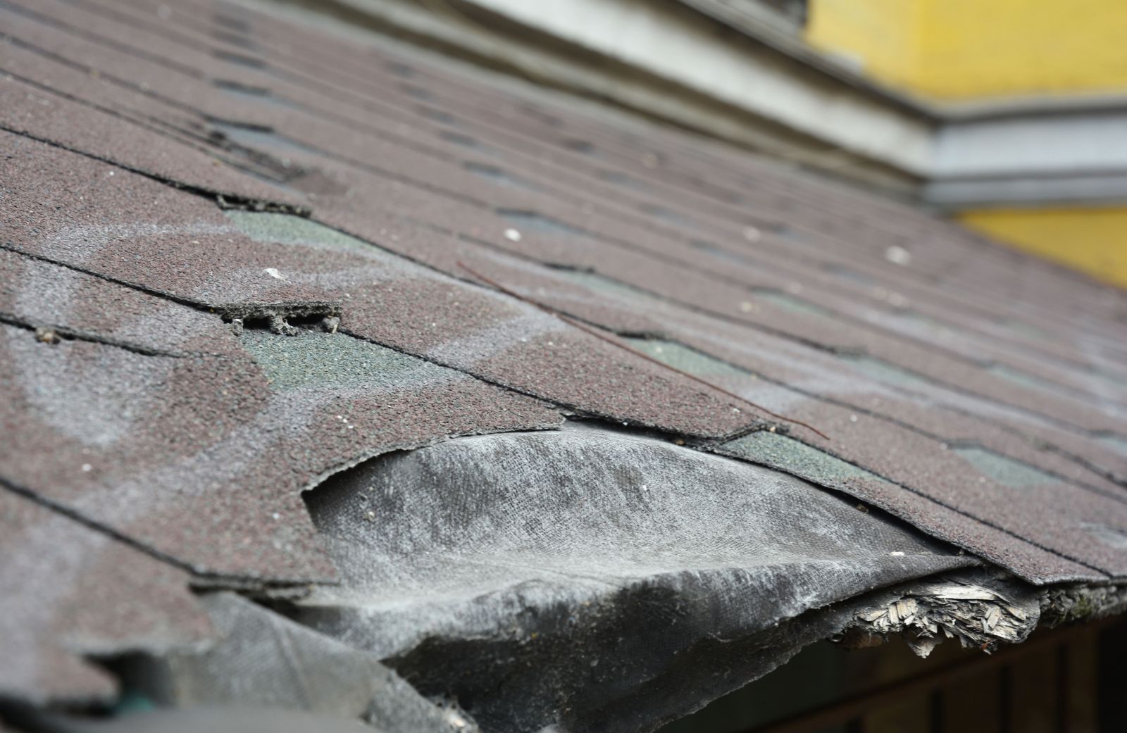 Prince Roofing Images