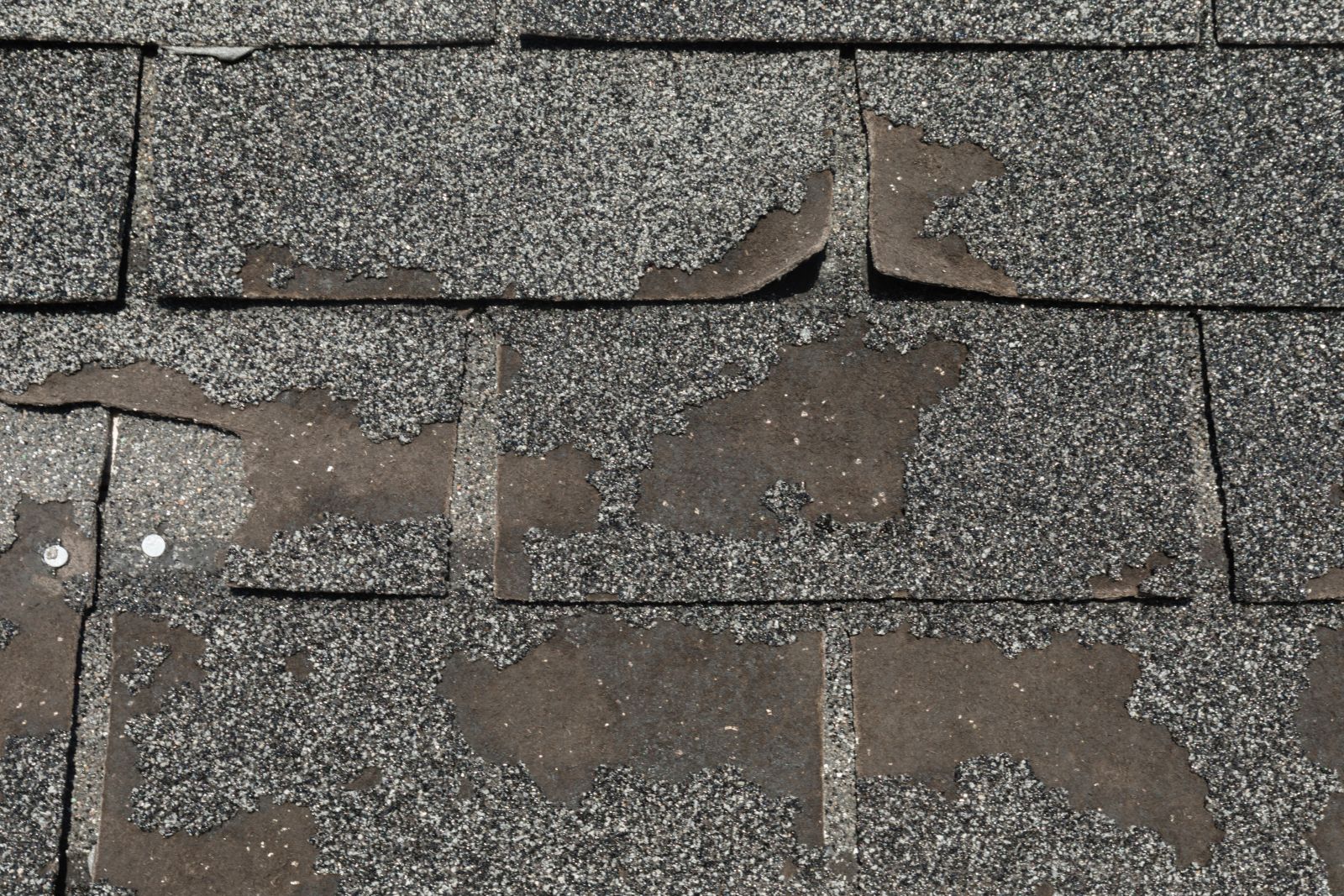 Prince Roofing Images